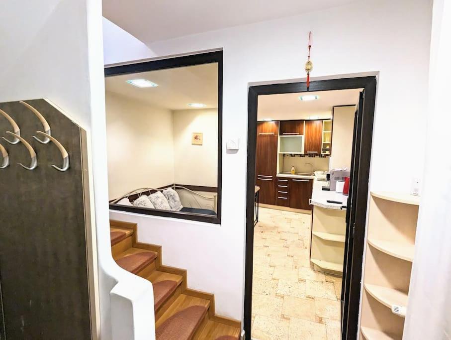 Maisonette Balcesco Braşov Eksteriør billede
