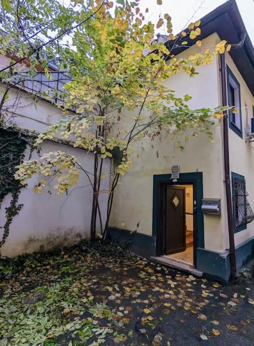 Maisonette Balcesco Braşov Eksteriør billede